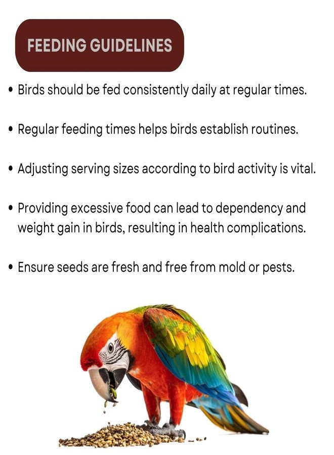 TUNAI SF+ Mix Seeds for Birds | Natural, Hand-Picked and Protein Packed Seeds (500 GMS, Parrots),All Life Stages - Image 5